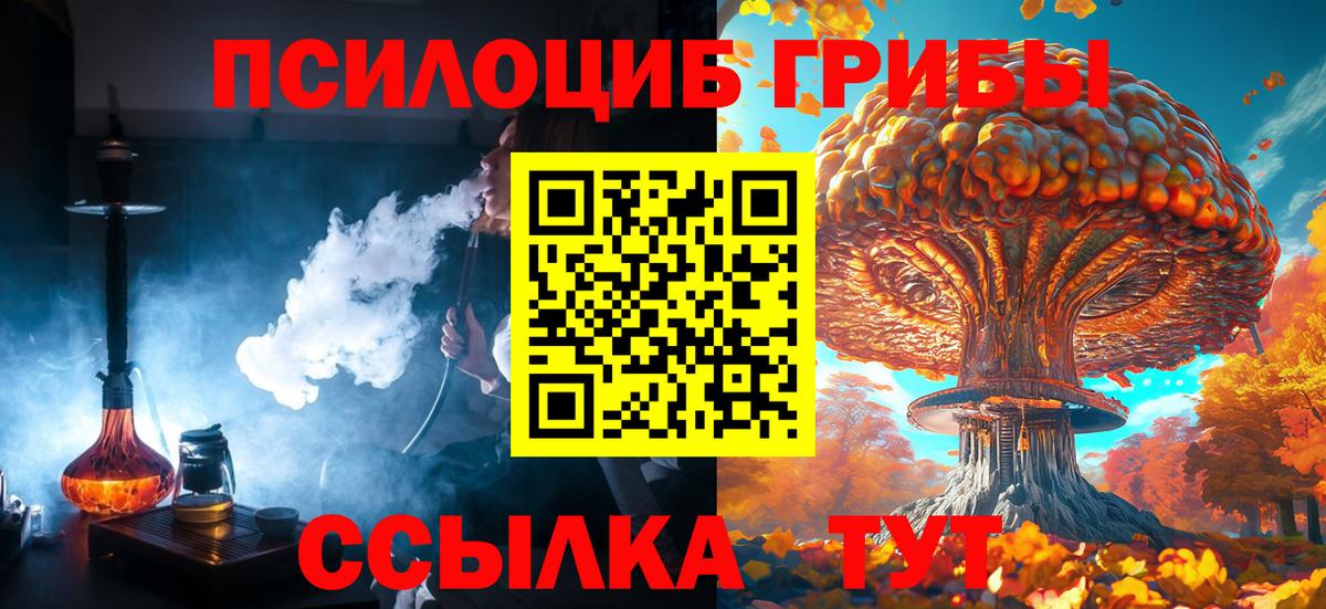 Красноармейск  Псилоцибиновые грибы мицелий  Вход с VPN 
